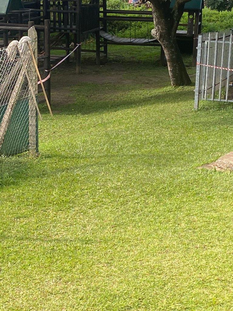 IMG-20230609-WA0018